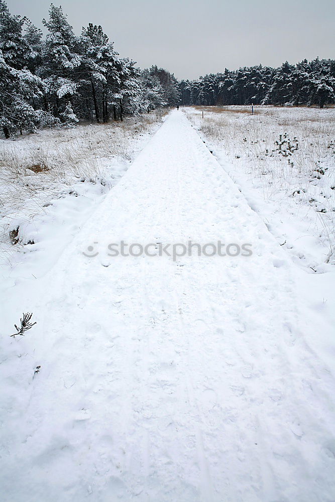 Foto Bild Schnee weiß Marke Reifen