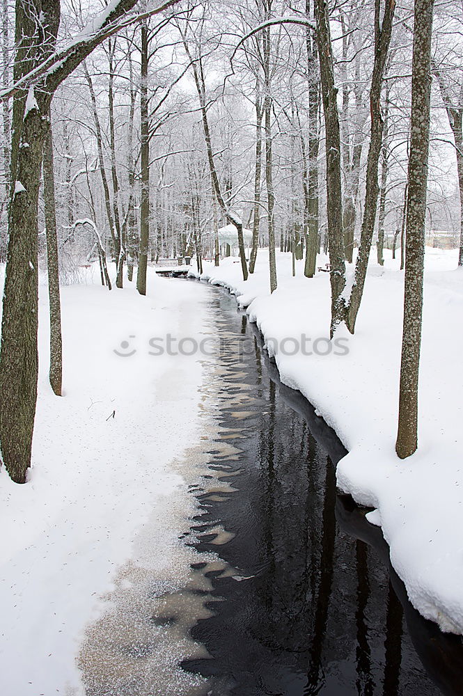 Similar – -7° Umwelt Natur