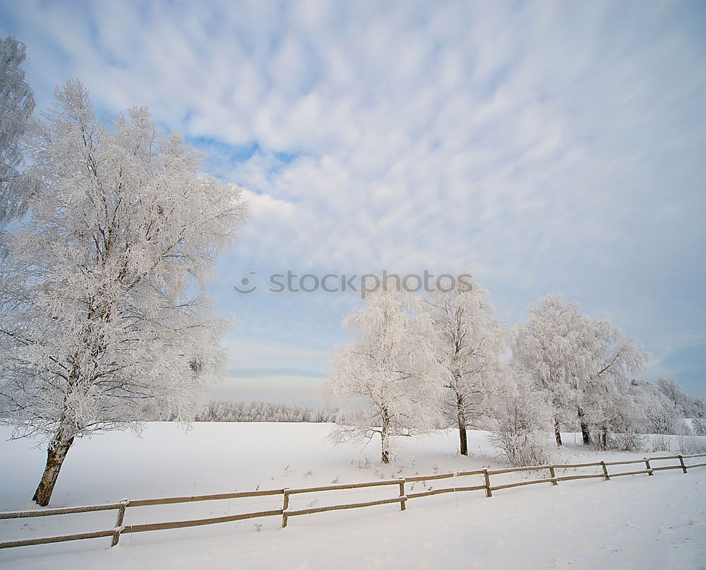 Similar – Image, Stock Photo hibernation Lake Water