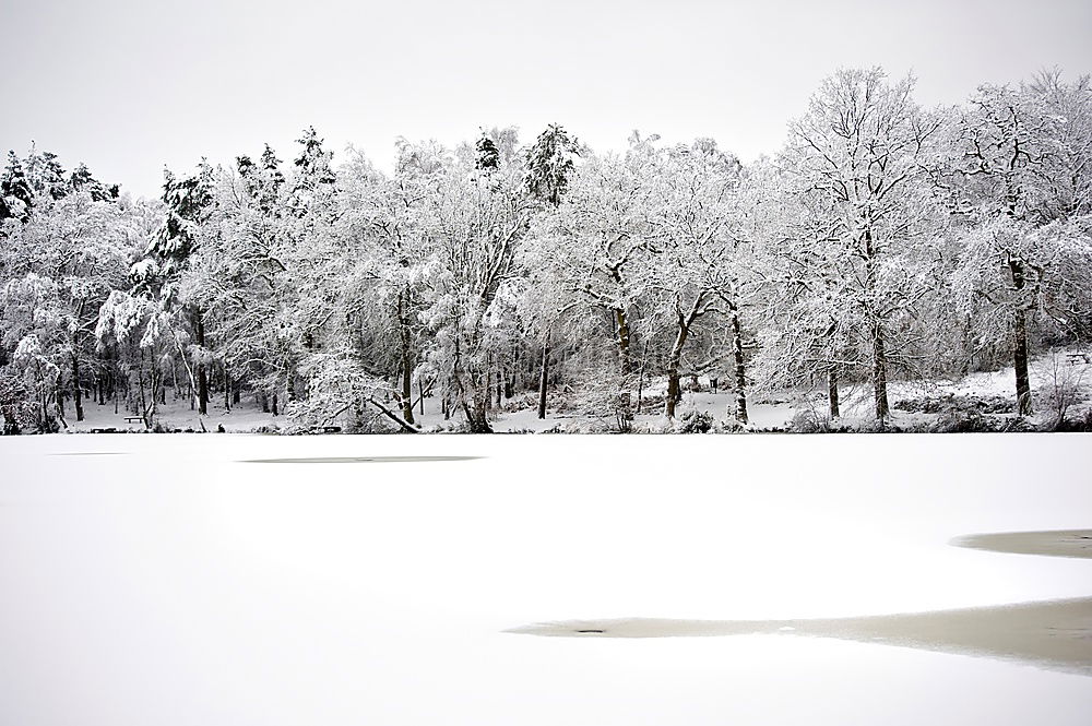 Sacrow Lake Pond Water