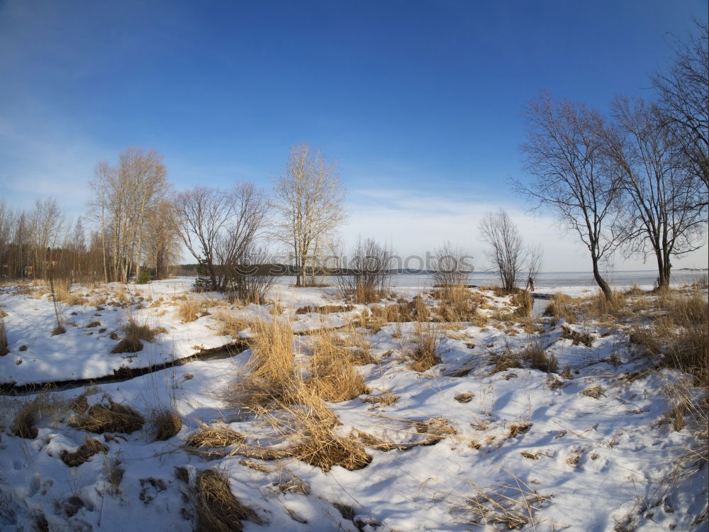 Similar – dry float Nature Landscape