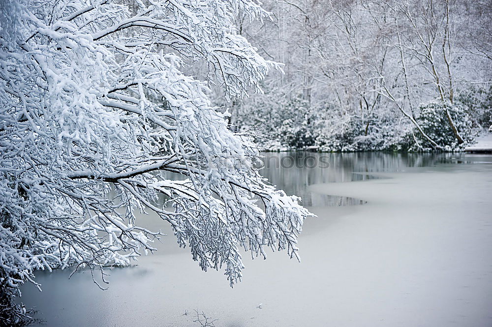 Image, Stock Photo hibernation Lake Water