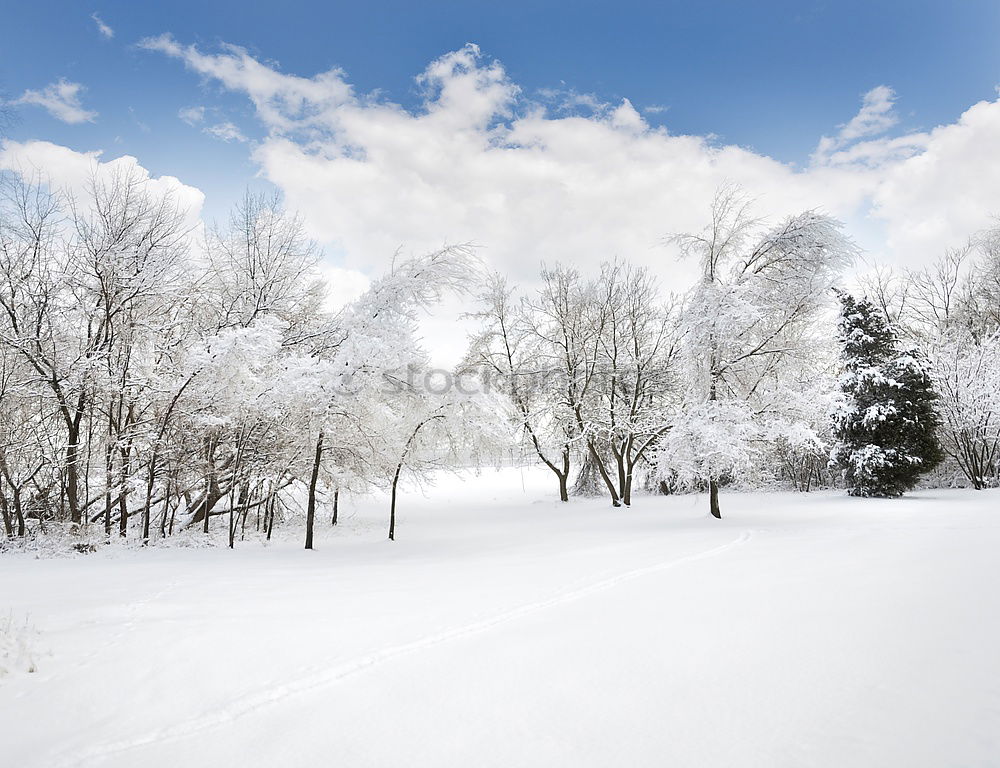 Similar – Image, Stock Photo tracks Winter Snow Hiking