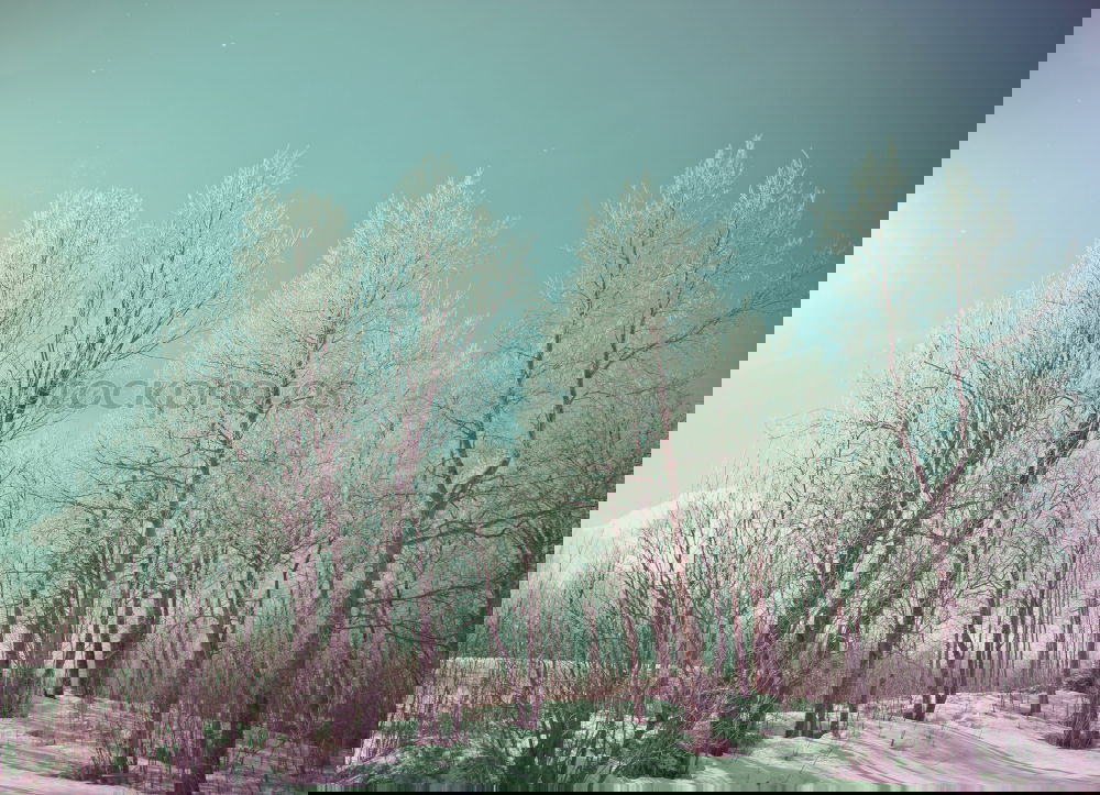 Similar – Foto Bild wintriness Landschaft