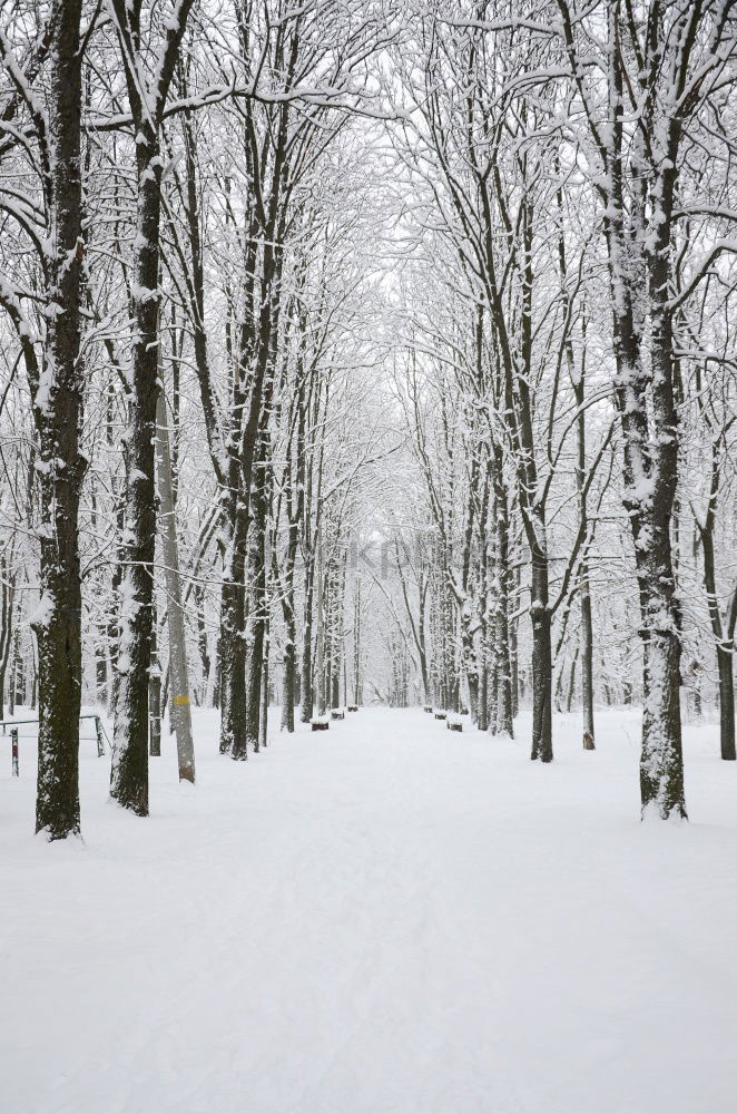 Similar – Image, Stock Photo Winter stop.