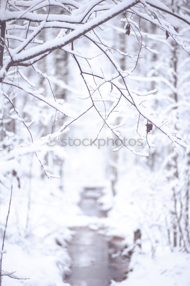 Similar – Image, Stock Photo chill Fruit Life Winter