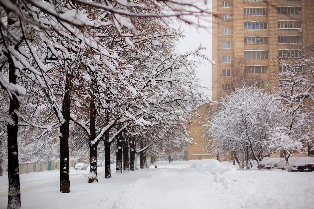 Similar – Image, Stock Photo tracks Winter Snow