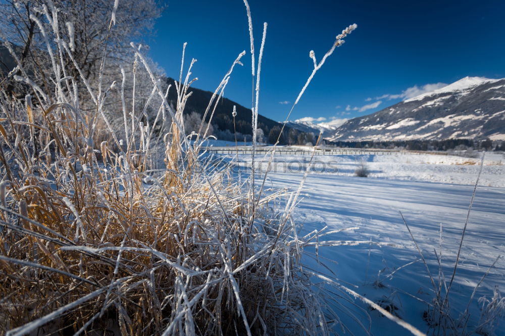 Similar – Snow-capped mountains and frozen river