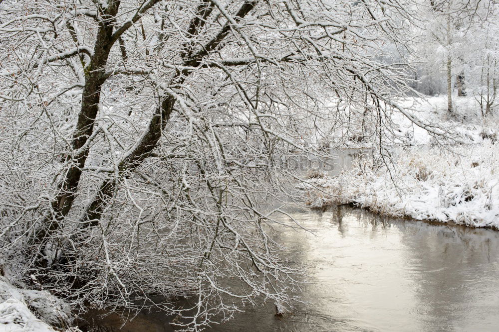 Similar – Foto Bild Frostschatten Leipzig