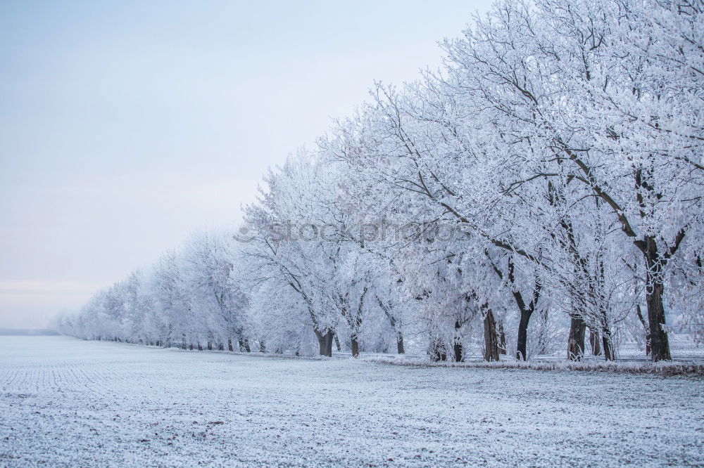 Similar – Image, Stock Photo arctic on the bike path