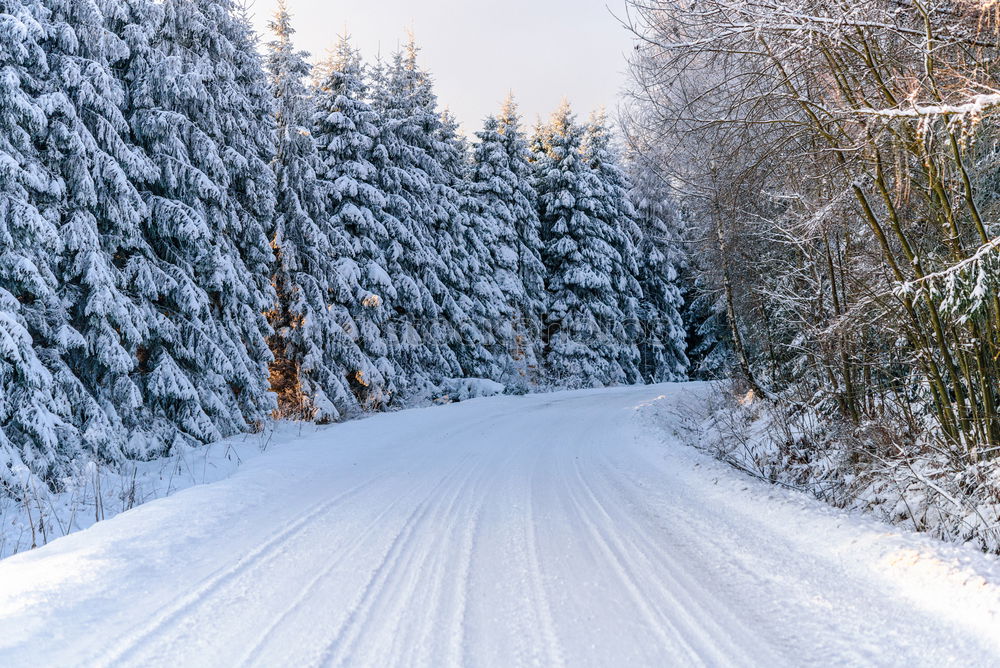 Similar – Image, Stock Photo lonesome road Life