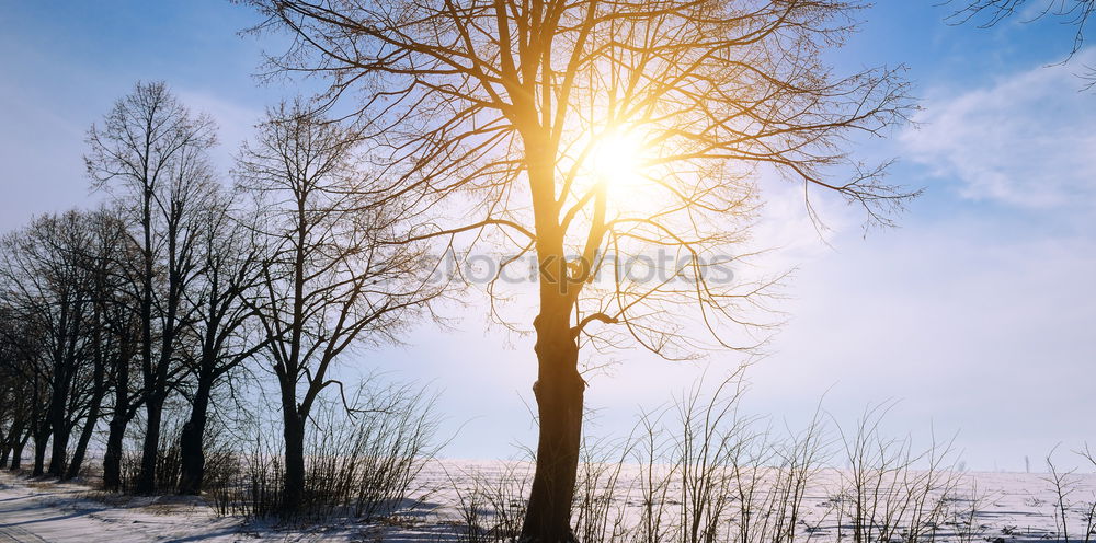 Similar – Alpine village under sun rays