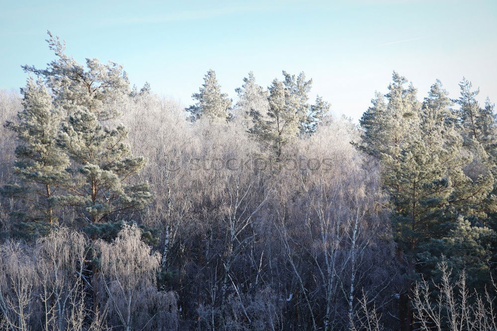 Similar – Image, Stock Photo Kraichgau. Nature