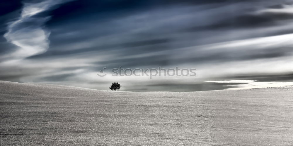 Similar – Image, Stock Photo Wild Horses in the Fog