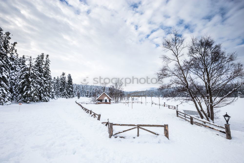 Similar – Image, Stock Photo winter walk Winter Snow