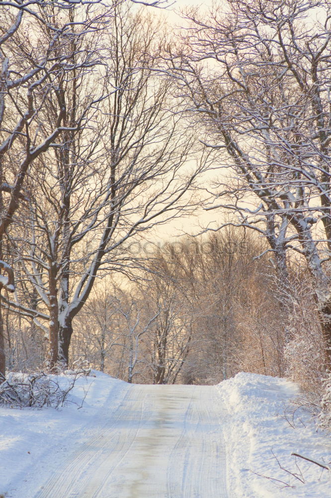 Similar – Image, Stock Photo Winter Hike Ice Frost