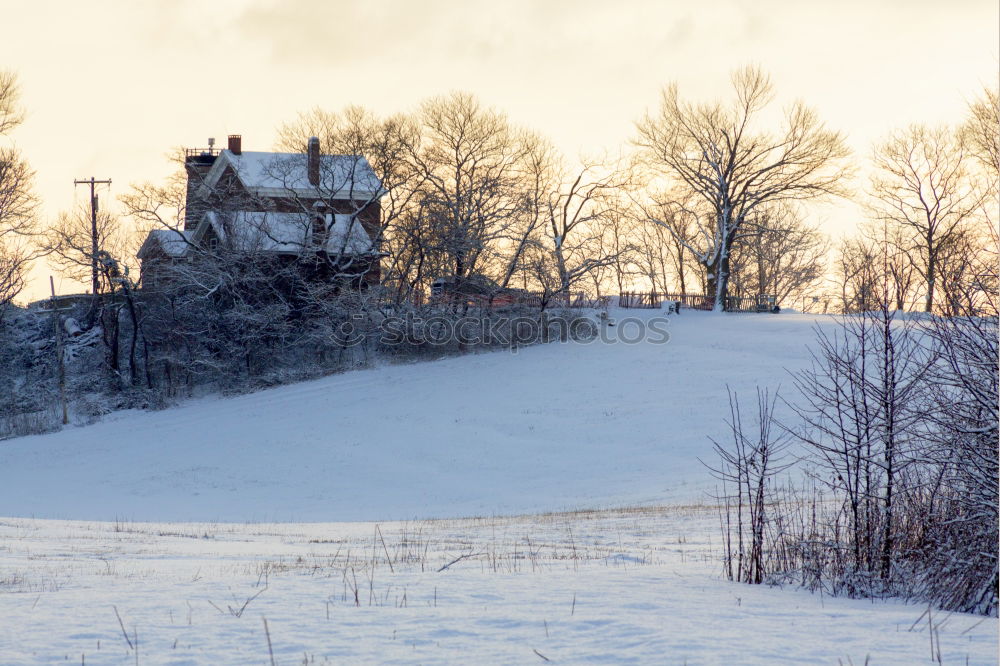 Similar – winter hike in the northern Black Forest on a sunny day