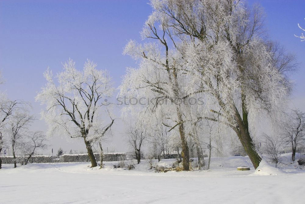 Similar – Image, Stock Photo winter sales Winter