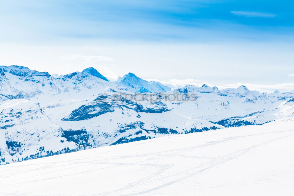 Similar – Schnee-Ente Skifahrer