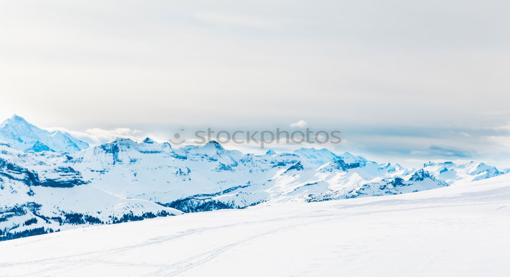 Similar – Image, Stock Photo Ski tips on a glacier in background the Matterhorn