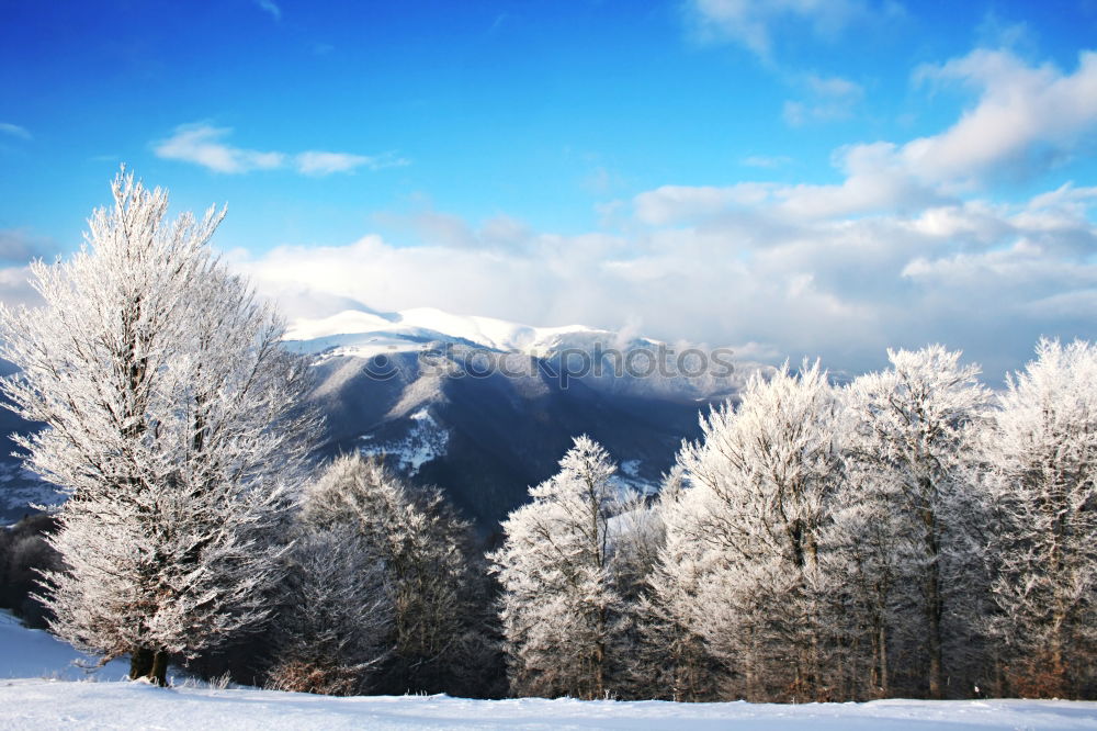 Similar – Image, Stock Photo Dream in white and blue