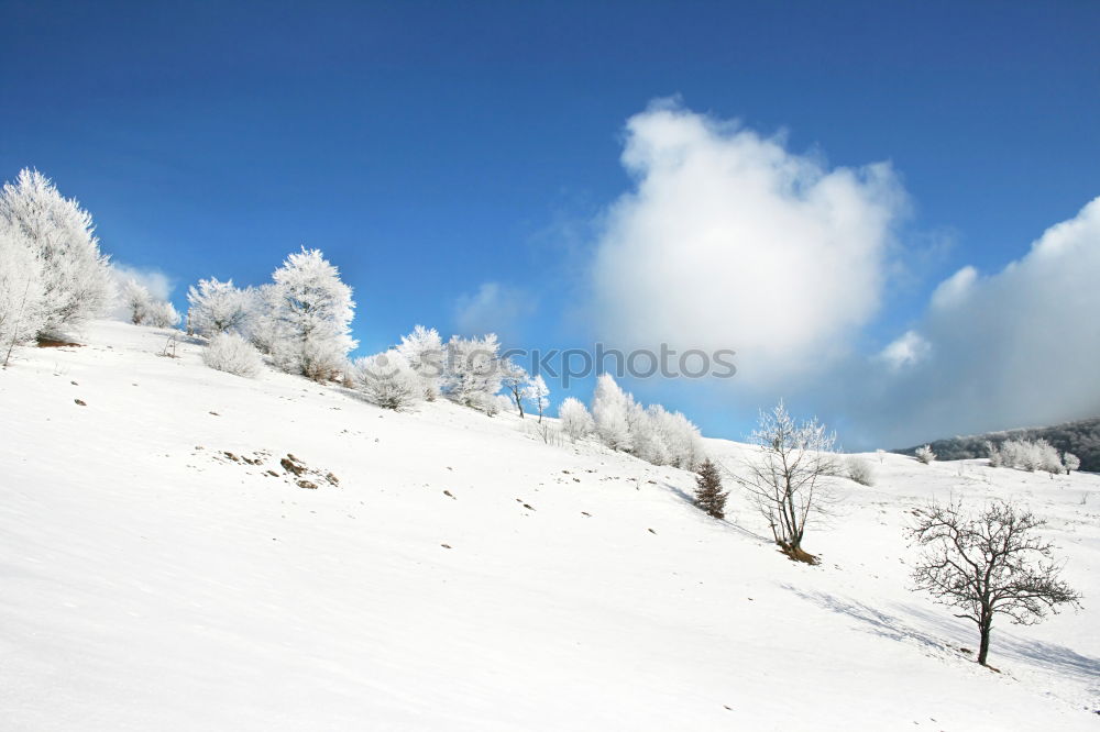 Similar – sloping winter forest