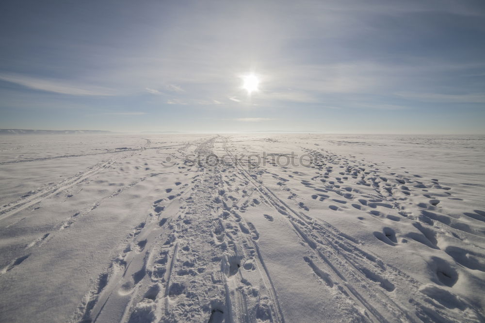 Similar – Image, Stock Photo Tracks in the snow