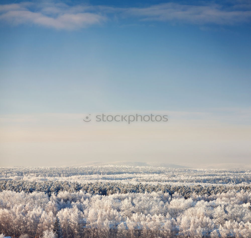 Similar – Image, Stock Photo winter hike in the northern Black Forest on a sunny day