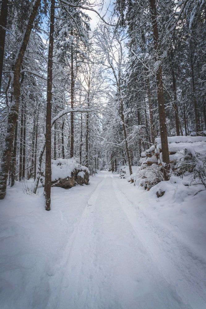 Similar – Image, Stock Photo The way Hiking Fitness