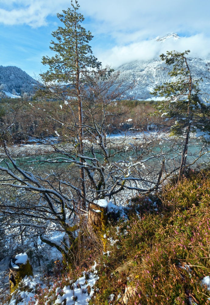 Herbst in den Bergen Natur