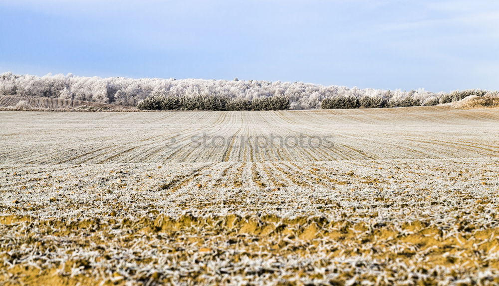 Similar – Image, Stock Photo snow from yesterday