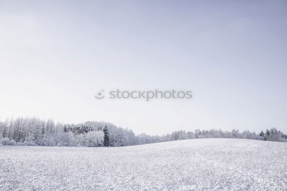 Similar – Gate!Gate!Gate! Snow