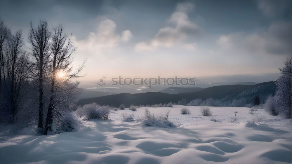 Similar – Image, Stock Photo Sunset on the Sonau