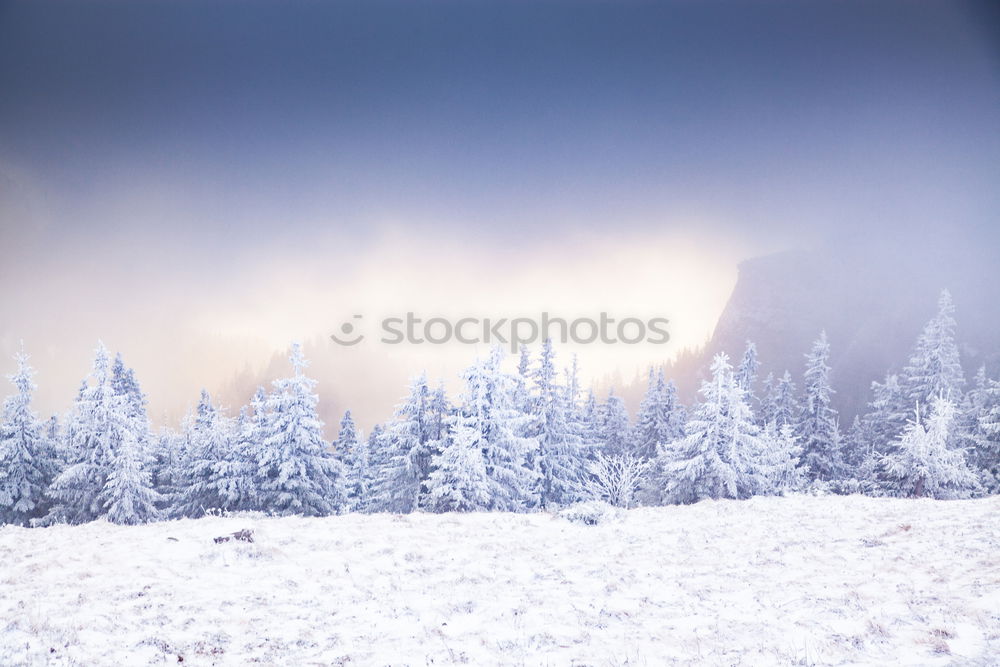 Similar – Image, Stock Photo Mountain road through piles of snow