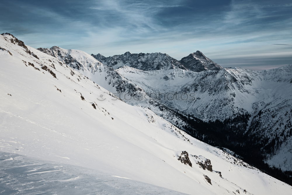 Similar – Image, Stock Photo snowshoe hike Snow shoes