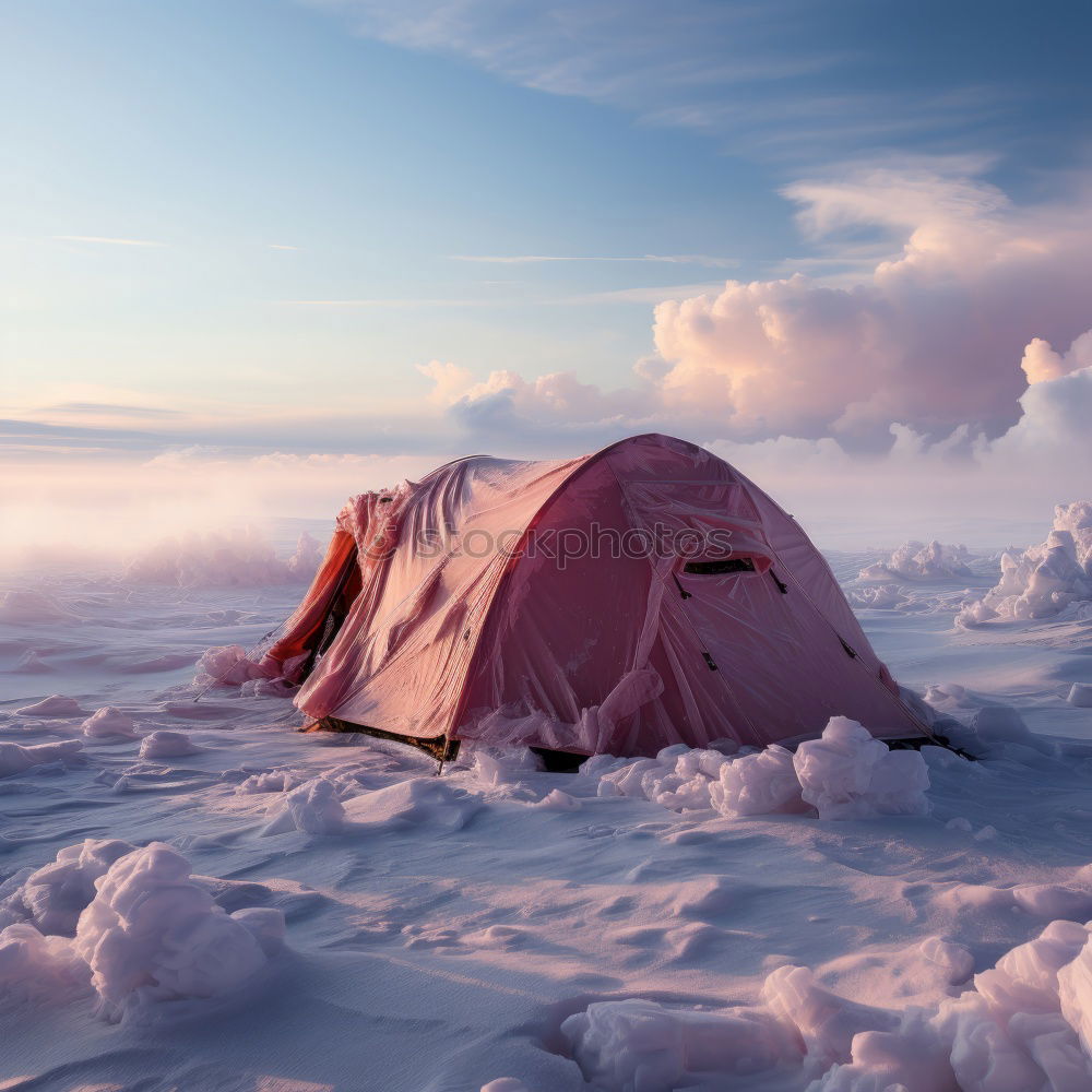 Similar – Camping in the dunes of Sylt