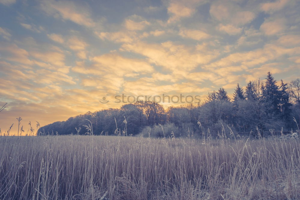 Similar – Image, Stock Photo winter atmosphere