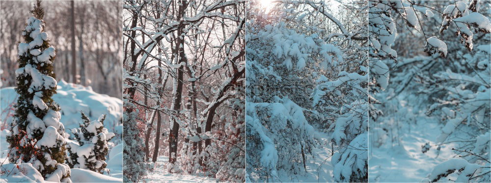 Similar – snow Winter Cold White