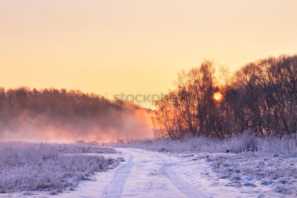 Similar – Image, Stock Photo Train stop in a small town