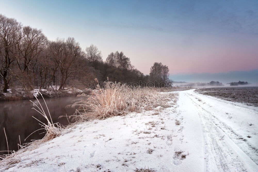 Similar – dry float Nature Landscape