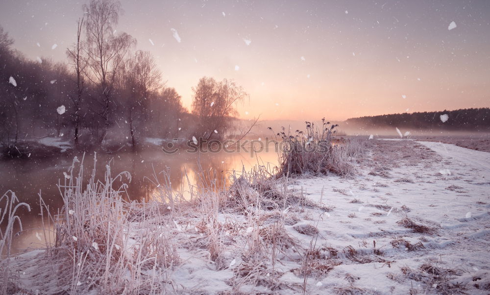 Similar – Image, Stock Photo Cold snowy morning on the lake. Late autumn