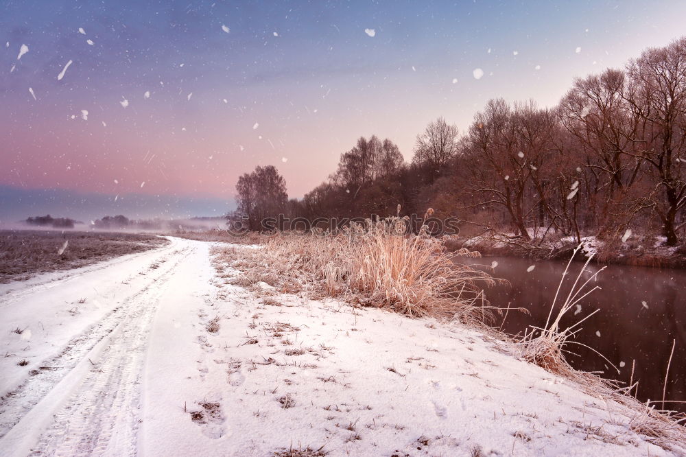 Similar – Image, Stock Photo Snow falling on a countryside road in the winter