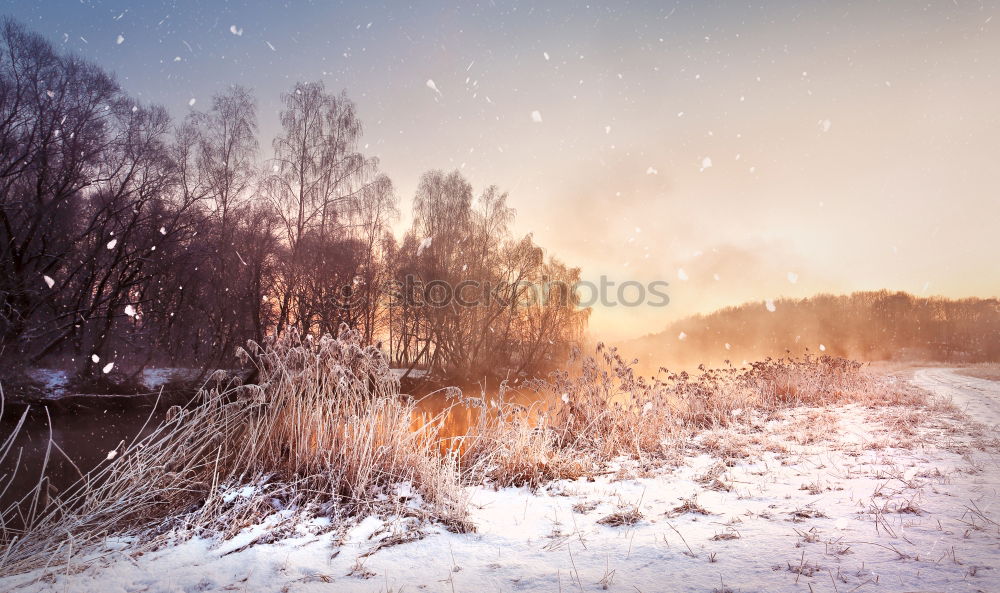 Similar – Foto Bild Bock-Windmühle im Schnee