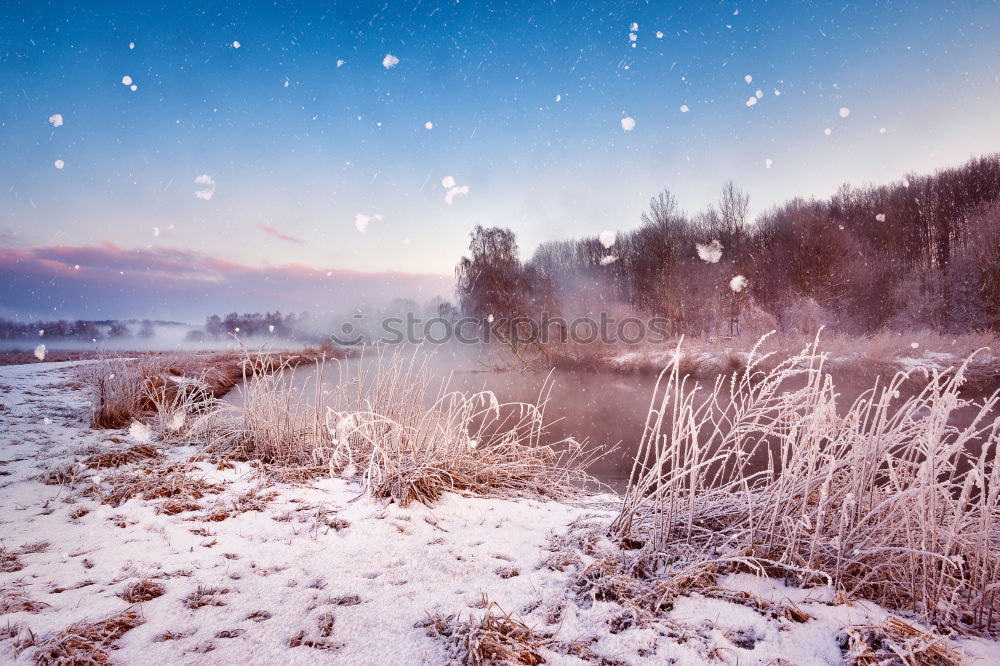 Similar – Winter at starnberger lake