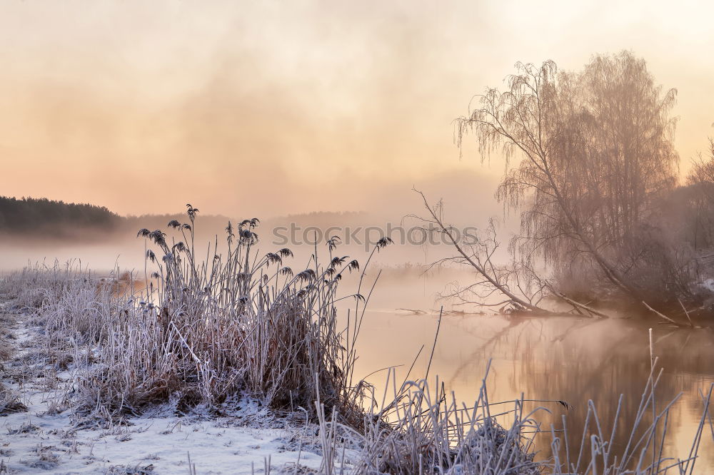 Similar – Image, Stock Photo Winter mood II