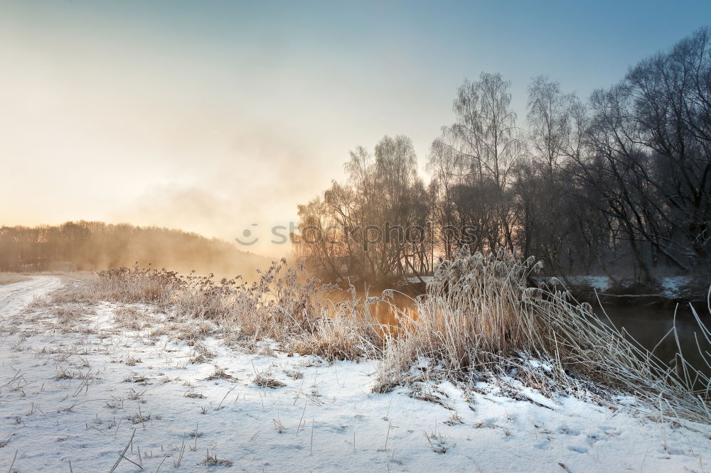 Similar – Image, Stock Photo Sunny winter morning on a river