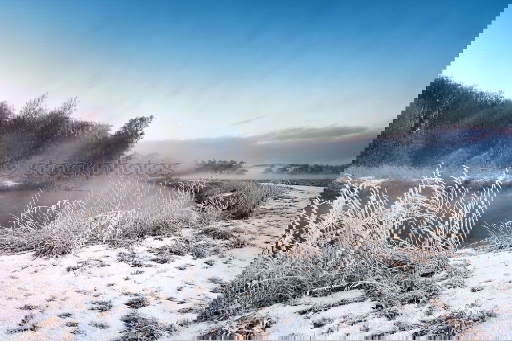 Similar – Image, Stock Photo Caught in the ice Plant
