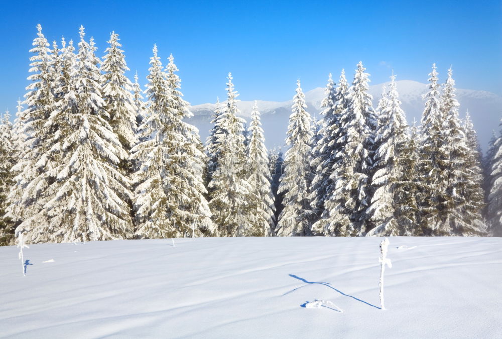 Similar – View from the Unterberg to the foothills of the Alps