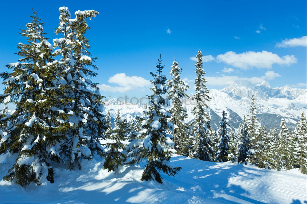 Similar – winter magic Fence Winter