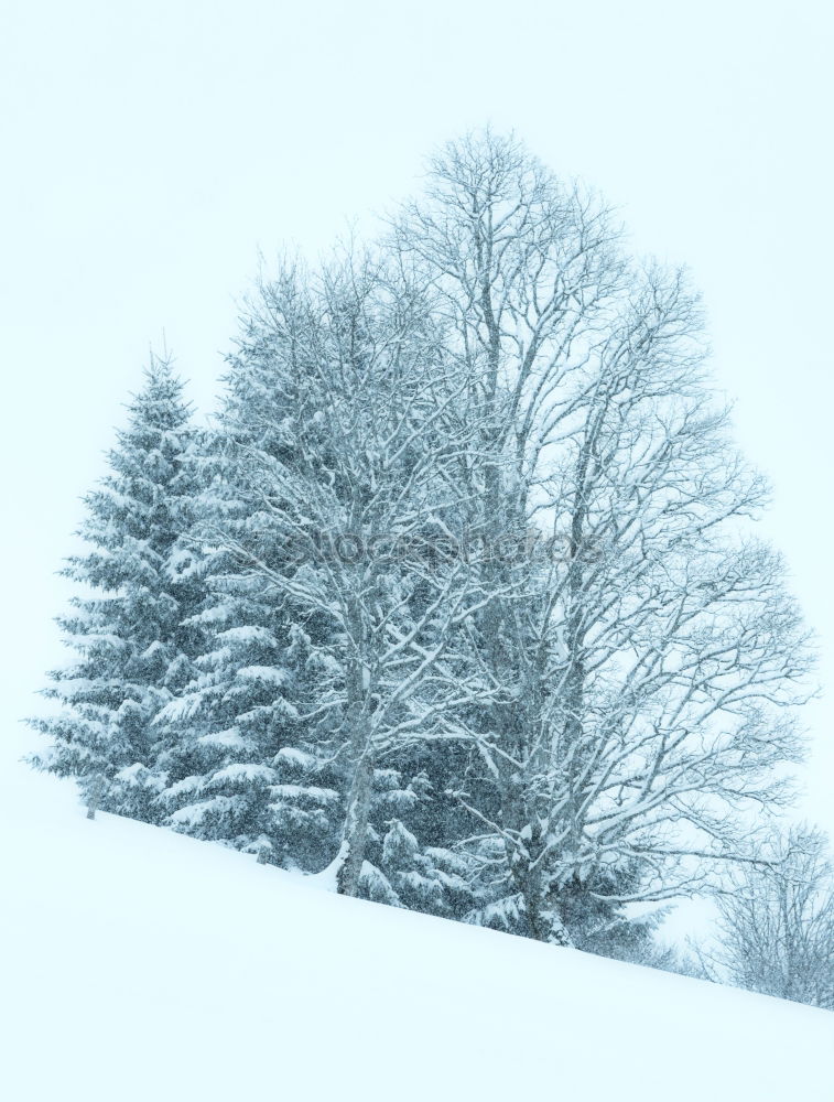 Similar – Image, Stock Photo Winter Blues II